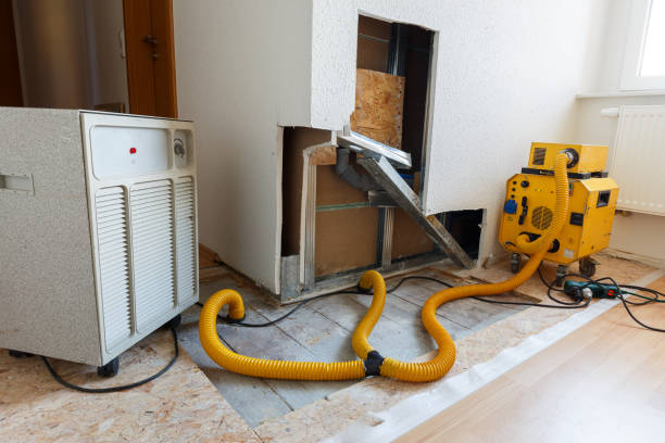 Best Air Quality Testing for Mold Spores  in Perris, CA