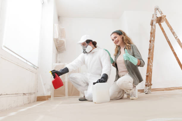 Perris, CA Mold Removal Company