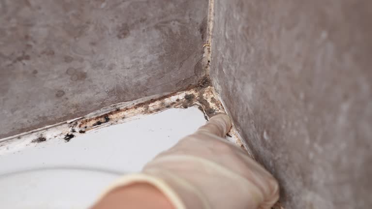 Best Indoor Air Quality Assessment  in Perris, CA